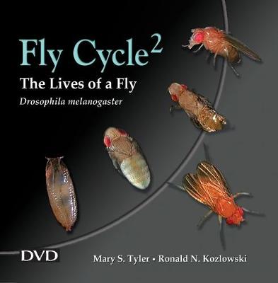 Book cover for Fly Cycle 2