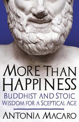 Book cover for More Than Happiness