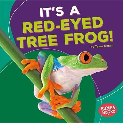 Book cover for It's a Red-Eyed Tree Frog!