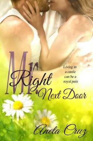 Cover of Mr. Right Next Door