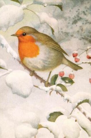 Cover of Winter Robin Holiday Half Note