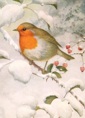 Book cover for Winter Robin Holiday Half Note