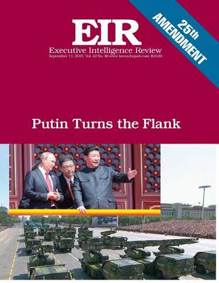 Cover of Putin Turns the Flank