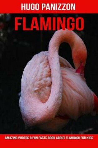 Cover of Flamingo