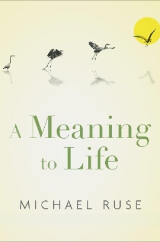 Cover of A Meaning to Life