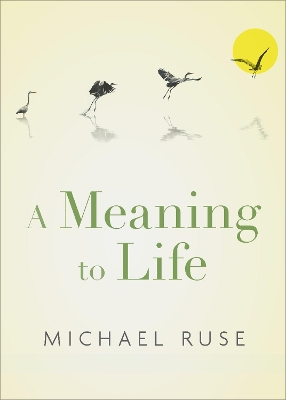 Book cover for A Meaning to Life