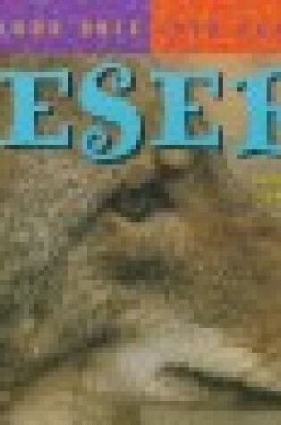 Cover of In the Desert