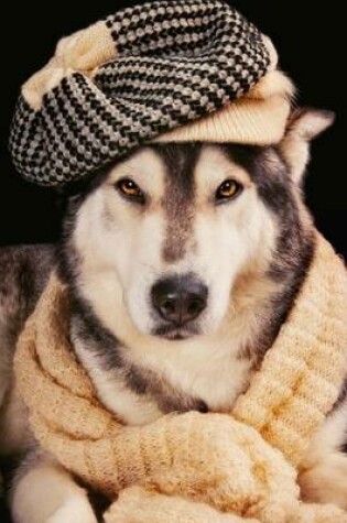 Cover of A Well Dressed Husky, for the Love of Dogs