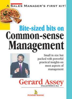 Book cover for Bite Sized Bits on Common Sense Management