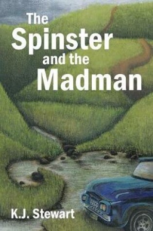 Cover of The Spinster and the Madman