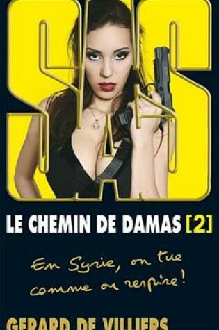 Cover of SAS 194 Le Chemin de Damas T2