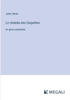 Book cover for Le chateâu des Carpathes