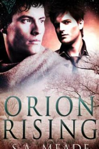 Cover of Orion Rising