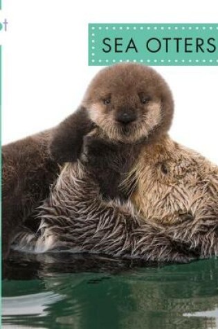 Cover of Sea Otters