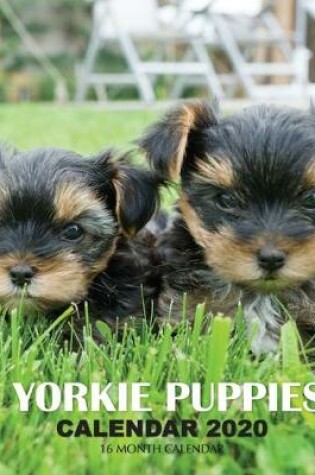 Cover of Yorkie Puppies Calendar 2020