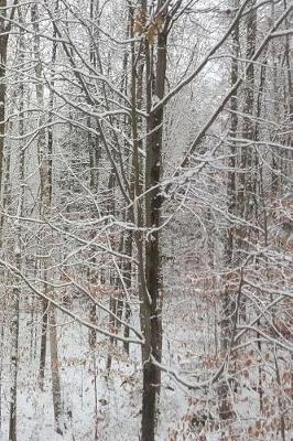 Cover of Journal Winter Snow Covered Bare Tree Branches