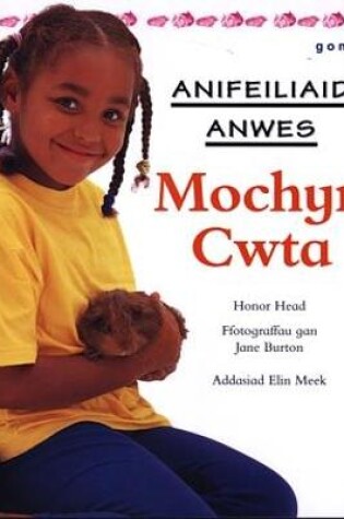 Cover of Cyfres Anifeiliaid Anwes: Mochyn Cwta