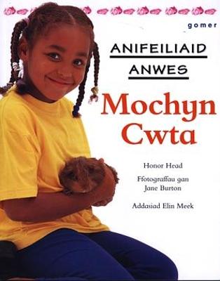 Book cover for Cyfres Anifeiliaid Anwes: Mochyn Cwta