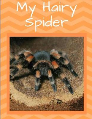 Book cover for My Hairy Spider