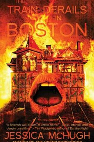 Cover of The Train Derails in Boston