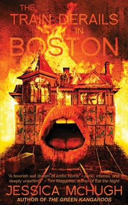 Book cover for The Train Derails in Boston