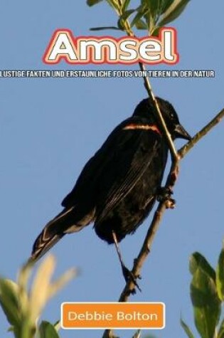 Cover of Amsel