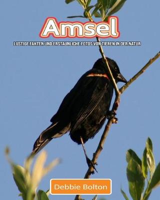 Book cover for Amsel