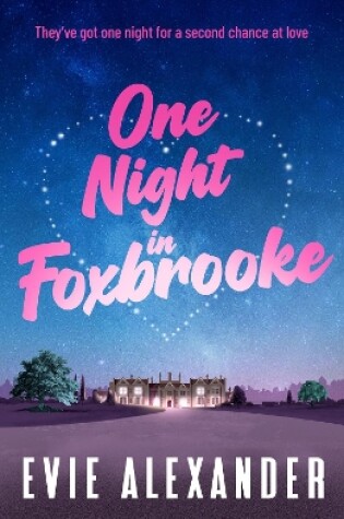 Cover of One Night in Foxbrooke
