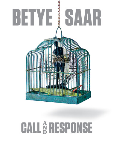 Book cover for Betye Saar