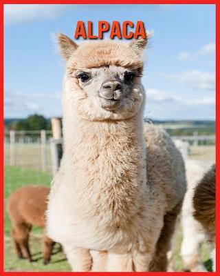 Book cover for Alpaca