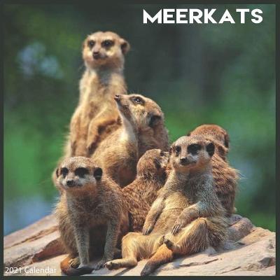 Book cover for Meerkats 2021 Calendar