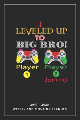 Book cover for I Leveled Up To Big Bro