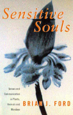 Book cover for Sensitive Souls