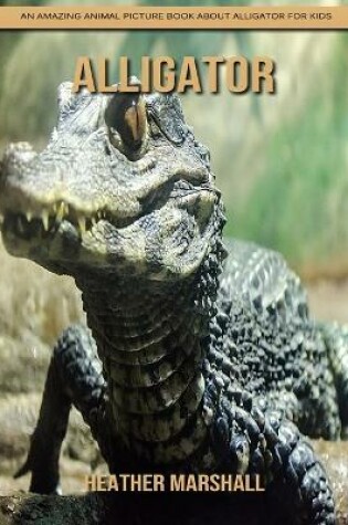 Cover of Alligator