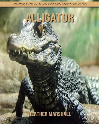 Book cover for Alligator