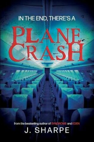 Cover of In the end, there's a plane crash