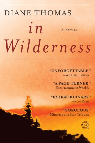 Cover of In Wilderness