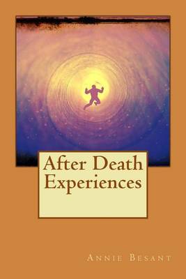 Book cover for After Death Experiences