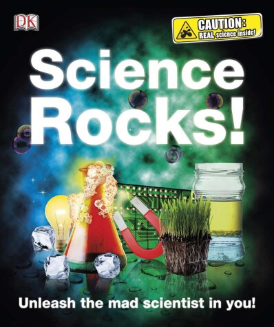 Book cover for Science Rocks!
