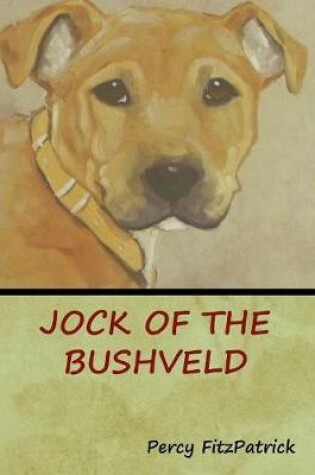 Cover of Jock of the Bushveld