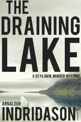 Cover of The Draining Lake