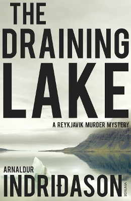 Book cover for The Draining Lake