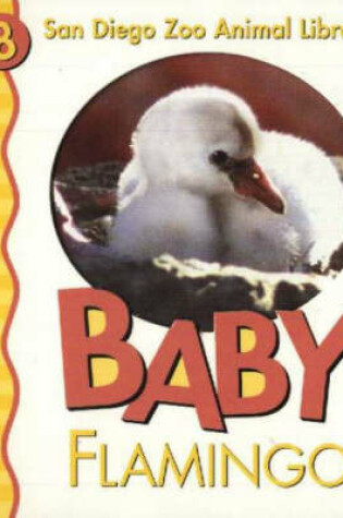 Cover of Baby Flamingo