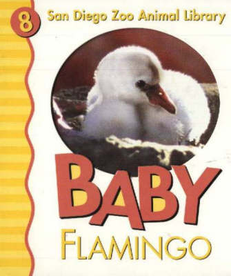 Book cover for Baby Flamingo