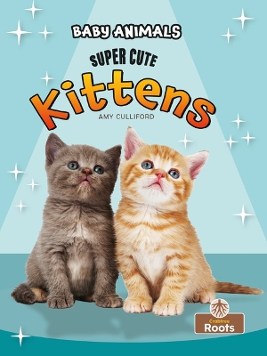 Book cover for Super Cute Kittens