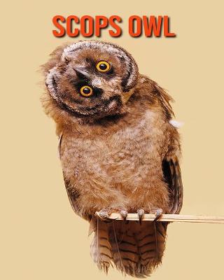 Book cover for Scops Owl