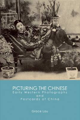 Book cover for Picturing the Chinese