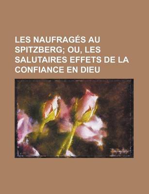 Book cover for Les Naufrages Au Spitzberg