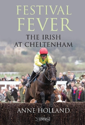 Book cover for Festival Fever