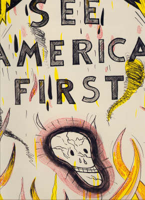 Book cover for See America First